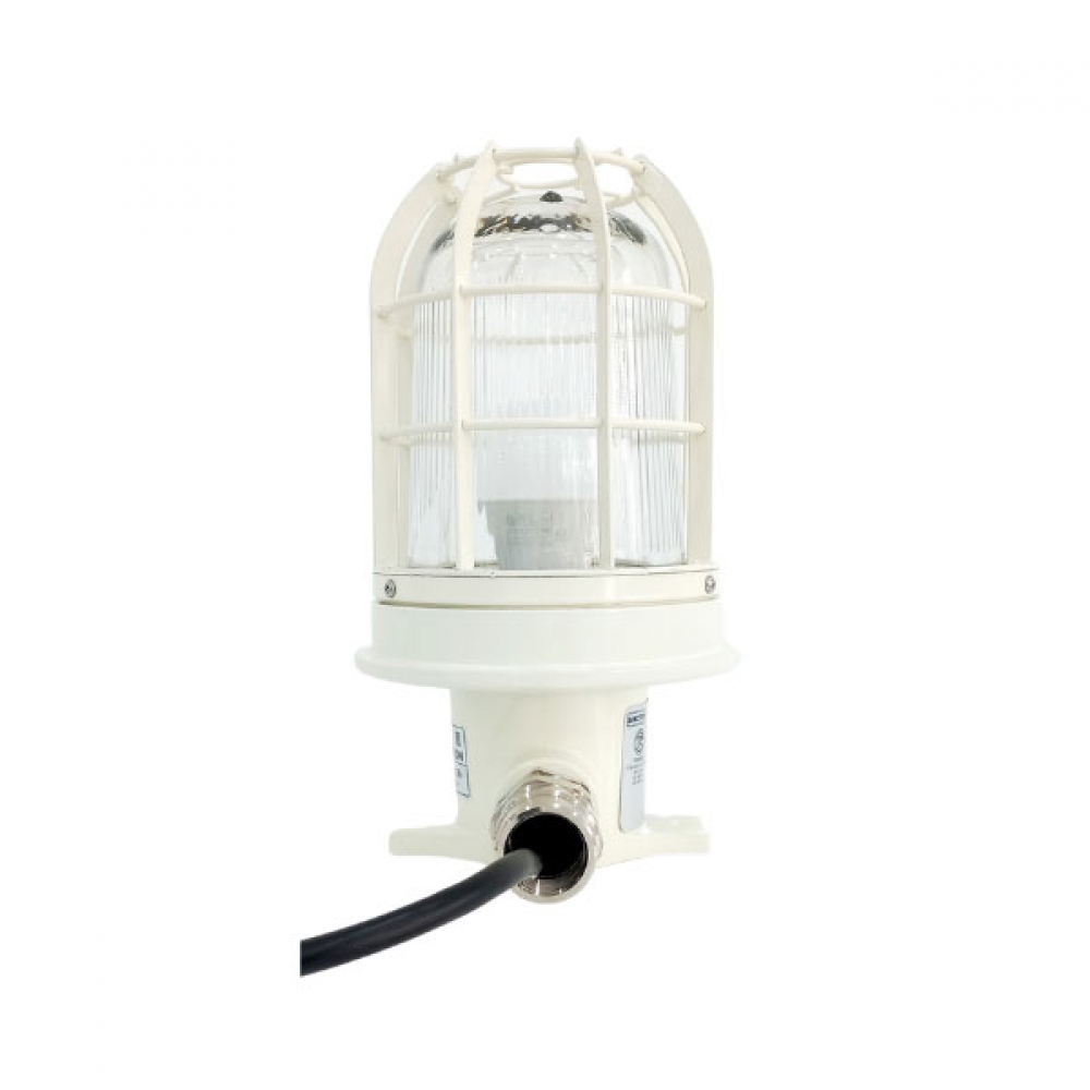 Đèn tiết kiệm năng lượng chống cháy nổ an toàn SELB03